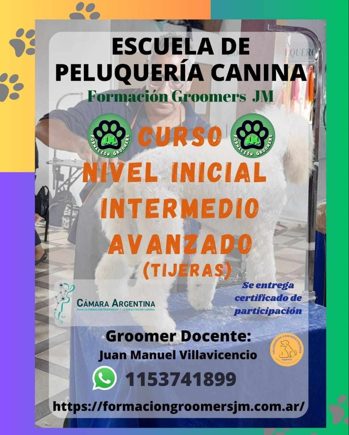 CURSO NIVEL AVANZADO DE PELUQUERIA CANINA